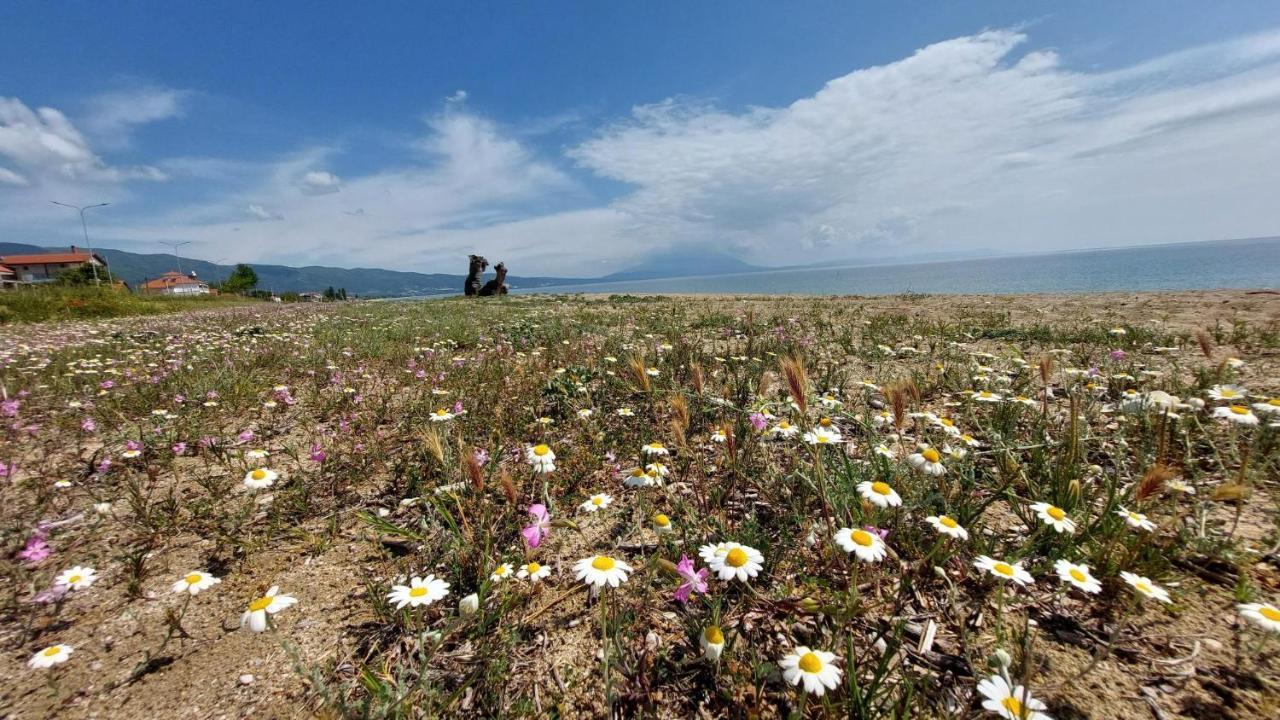 Vrasná Villa Sevi מראה חיצוני תמונה